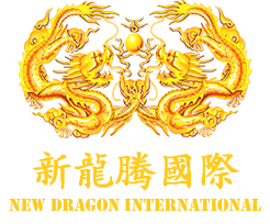 新龙腾国际logo